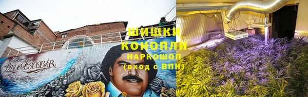 соль курить ск Белокуриха