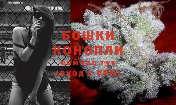 соль курить ск Белокуриха
